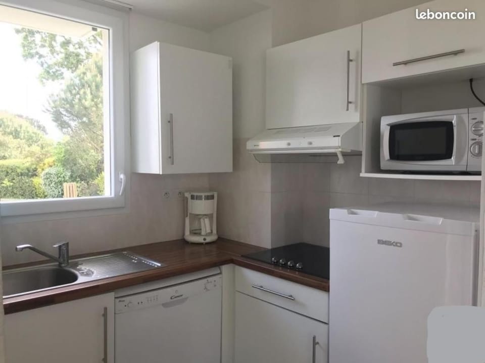 Kitchen or kitchenette, dishwasher, oven