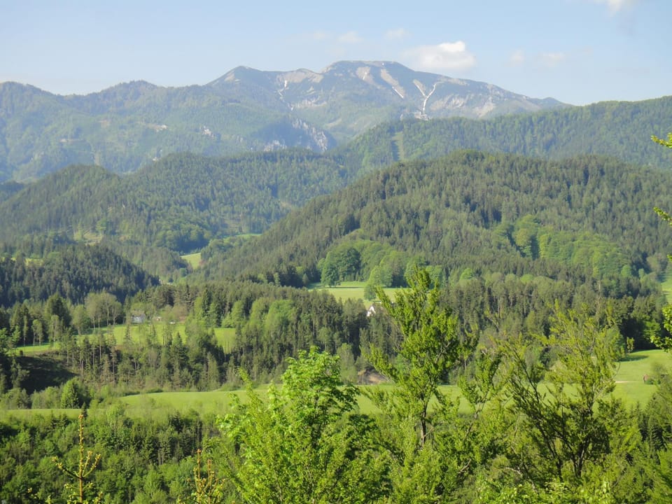 City view