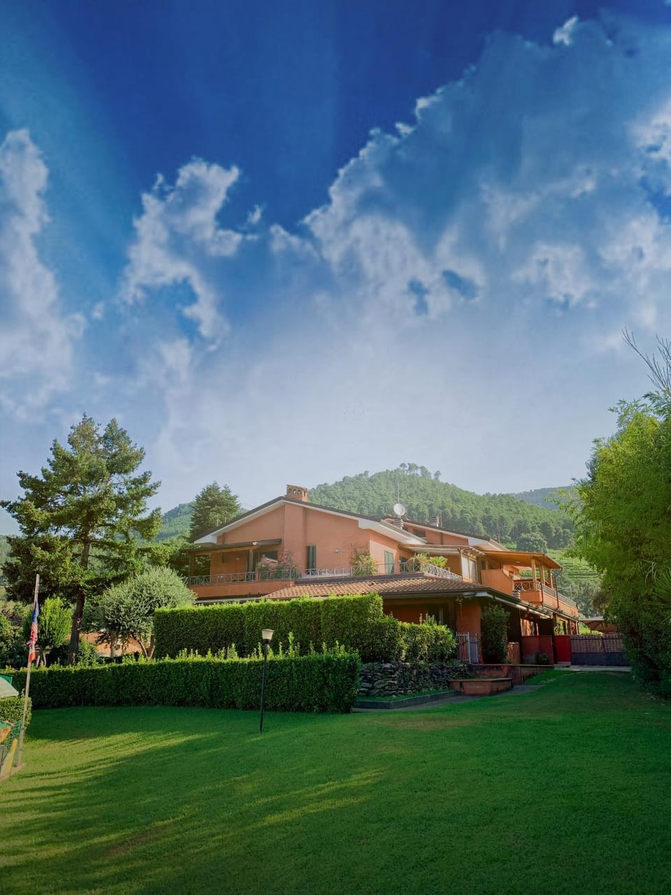 Garden view