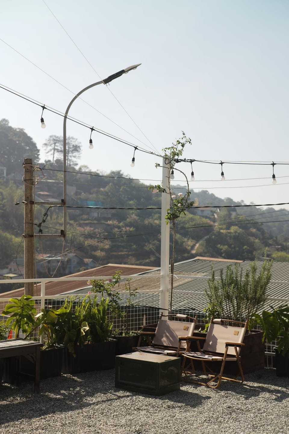 Day, Natural landscape, Garden view