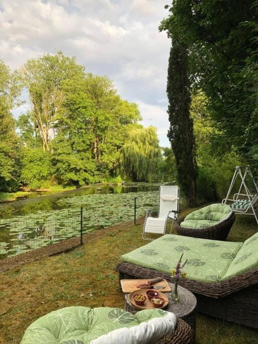 Garden, Garden view, sunbed