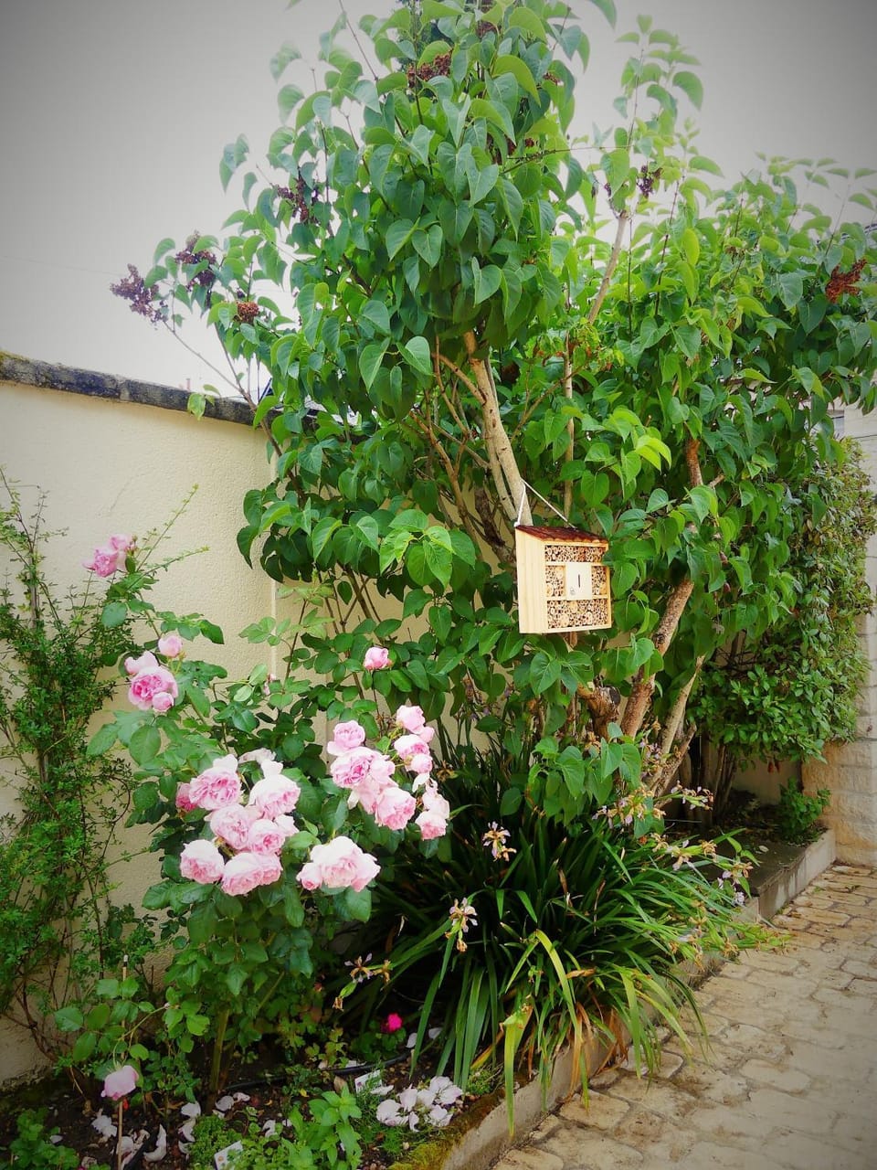 Pony Sweet Home Bed and Breakfast in Caen