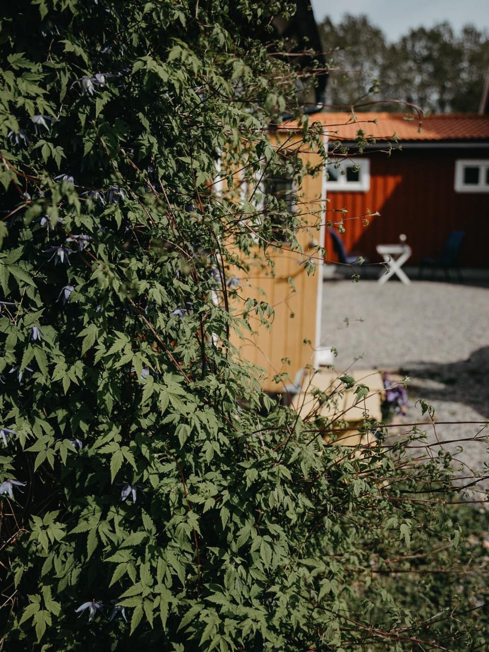 En lantlig idyll med skogen precis utanför dörren! House in Västra Götaland County