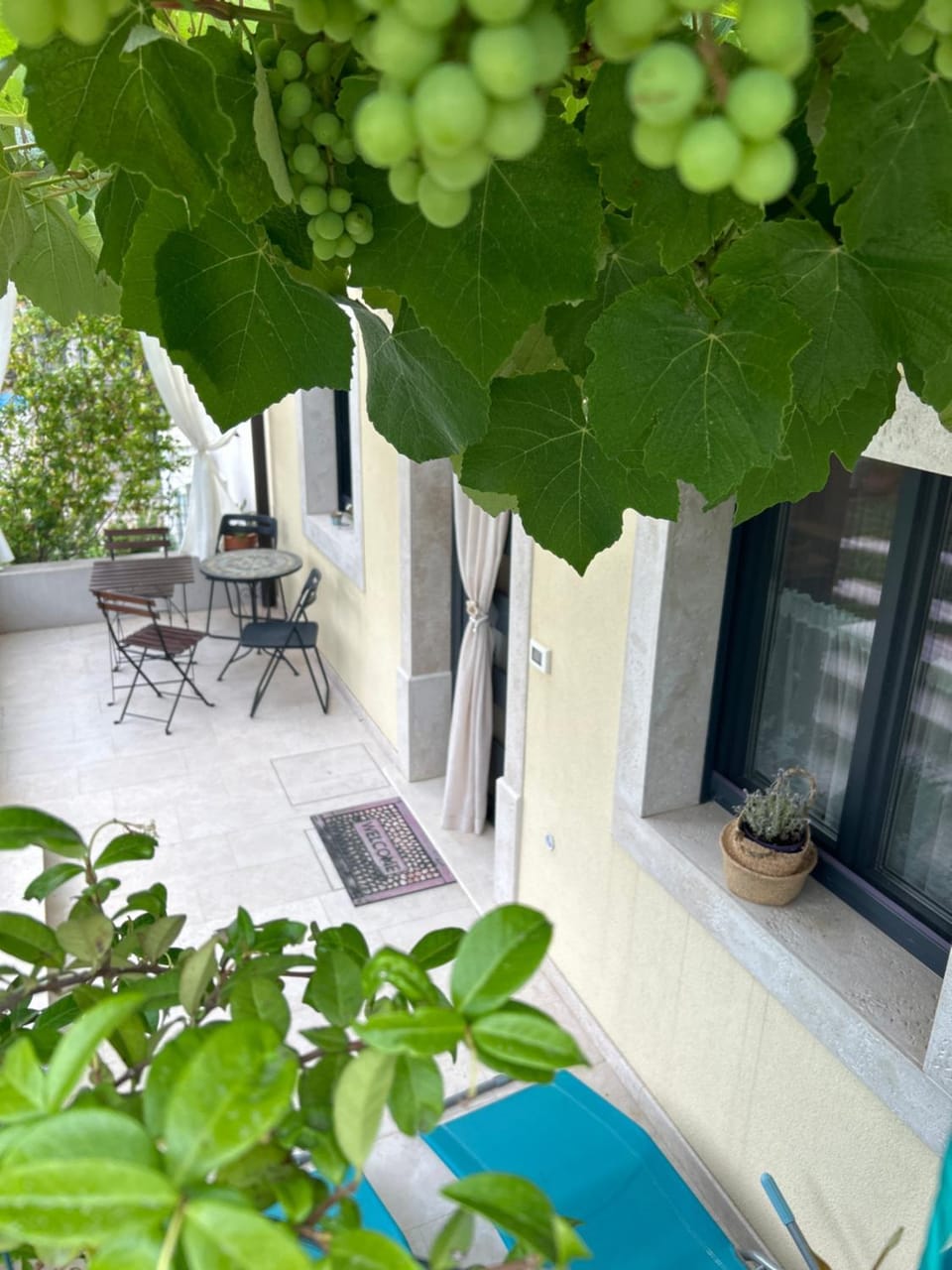 Patio, Balcony/Terrace
