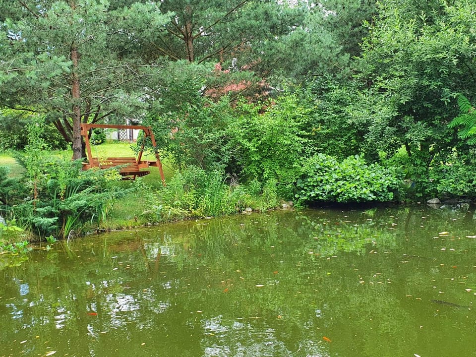 Natural landscape, Garden, Garden view, Lake view
