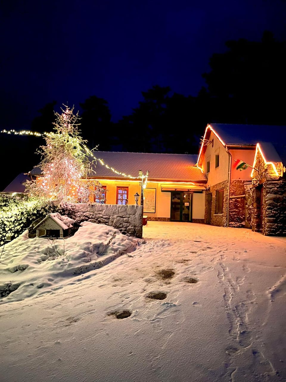 Property building, Night, Winter