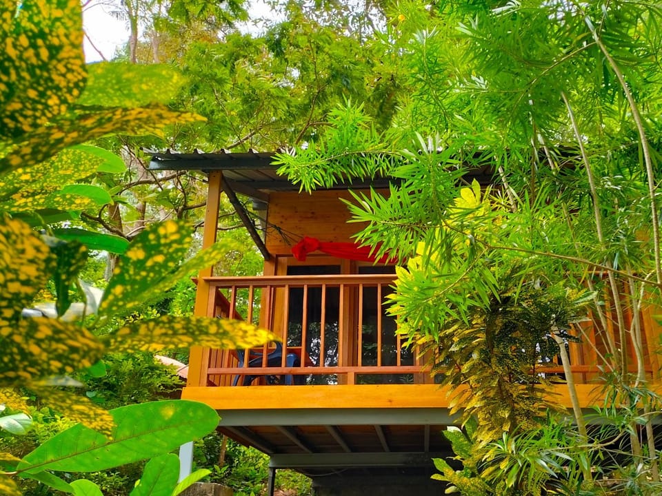 Property building, Garden, Balcony/Terrace
