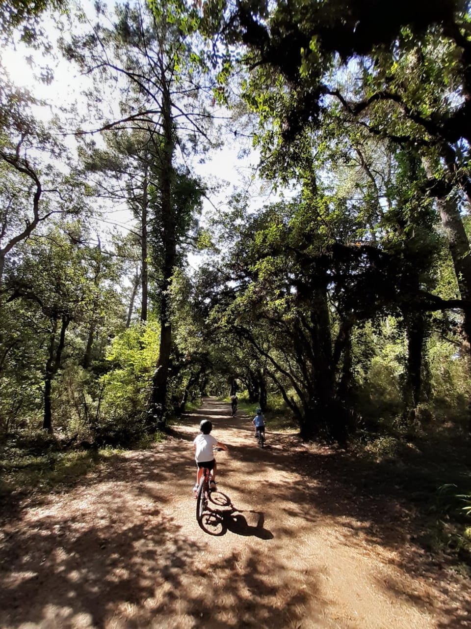 Natural landscape, Beach, Cycling