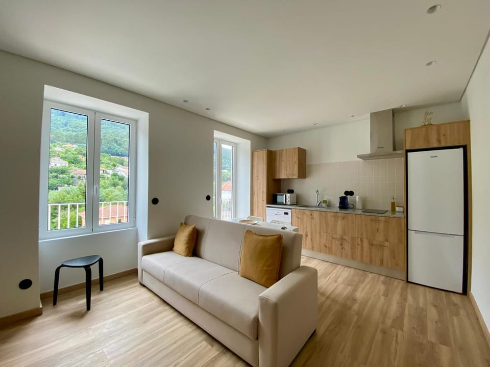 Living room, kitchen