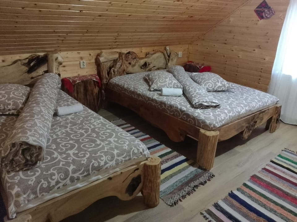 Cabana Cristalul din Apuseni House in Romania