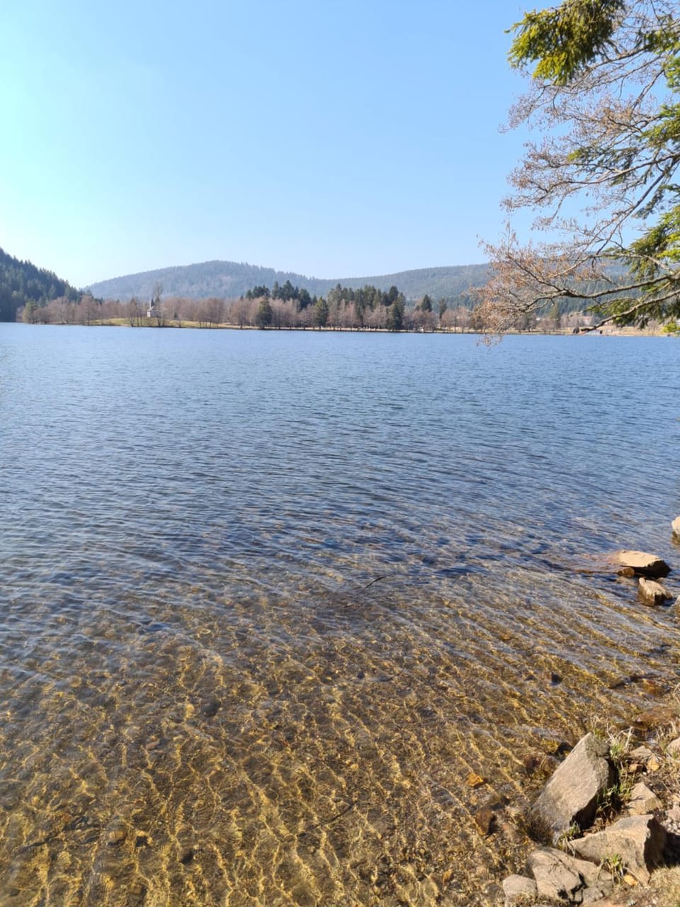 Natural landscape