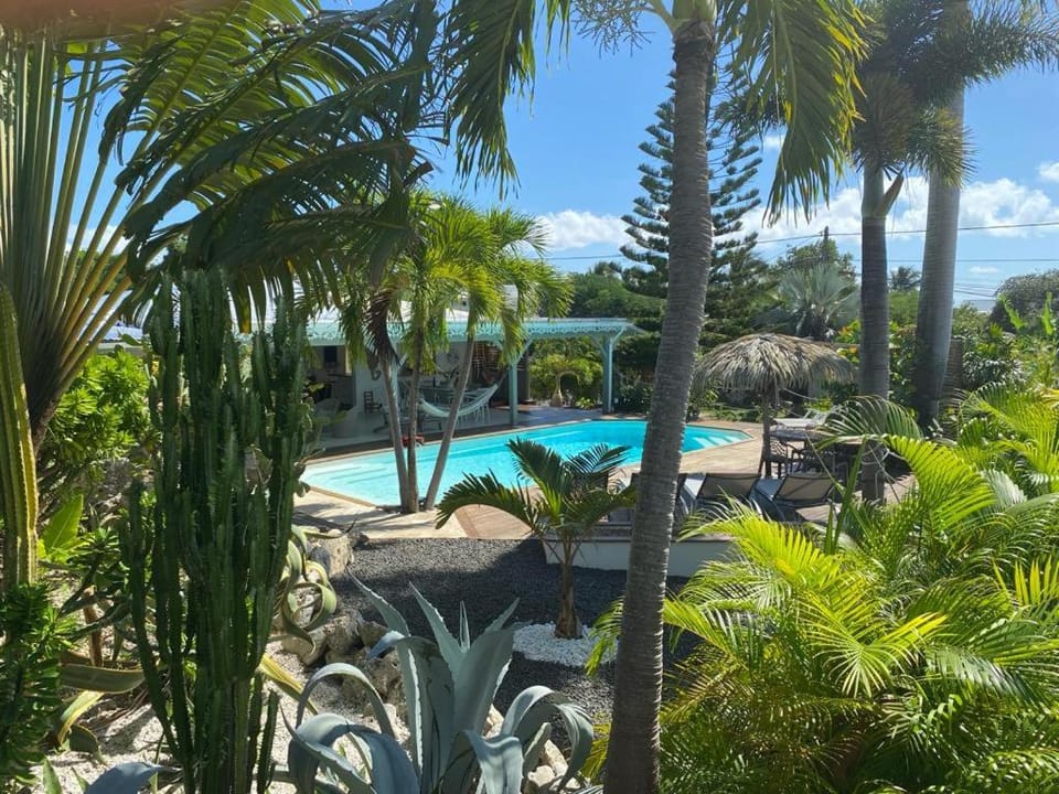 Garden view