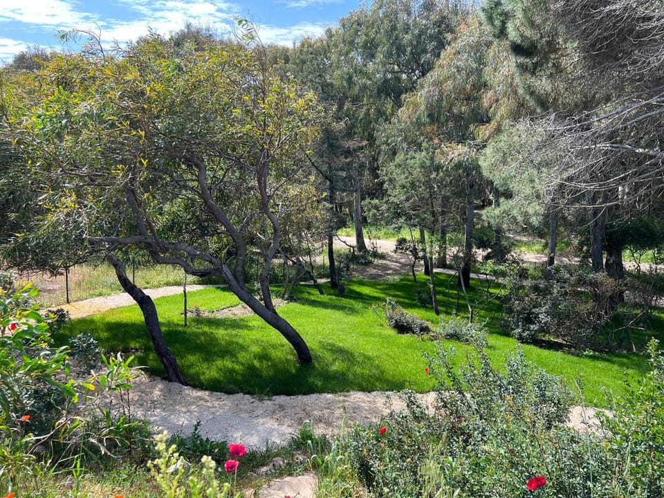 Garden, Garden view, Parking