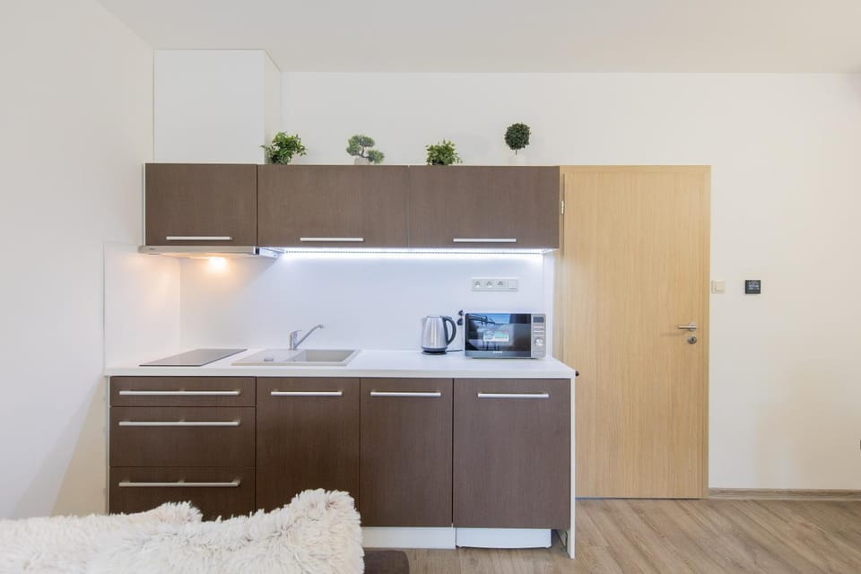 Apartmán Sophia 4 s terasou Apartment in Czechia