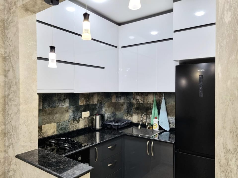 Kitchen or kitchenette, minibar, pet friendly