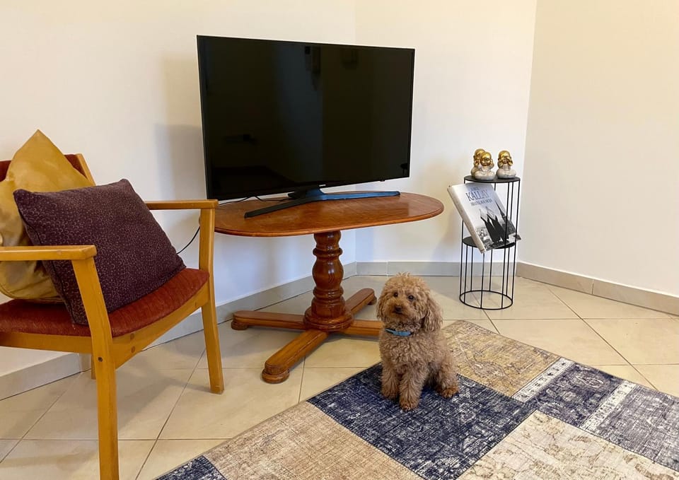 TV and multimedia, Evening entertainment, Pets