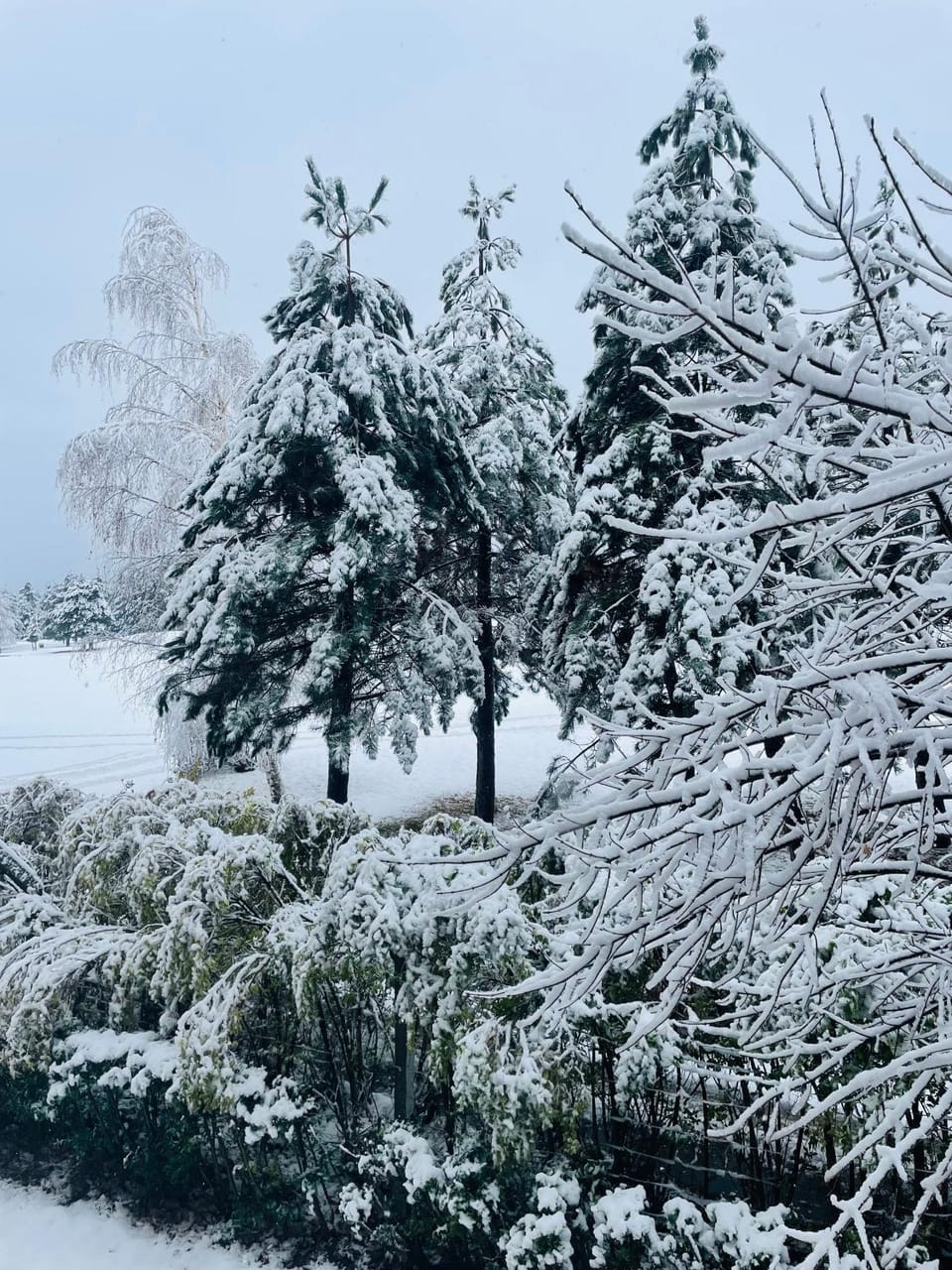 Ground floor 2-bedrooms, 2-bathrooms apartment near Bansko in a complex with pools and SPA included, please note there is construction noise nearby Apartment in Blagoevgrad Province