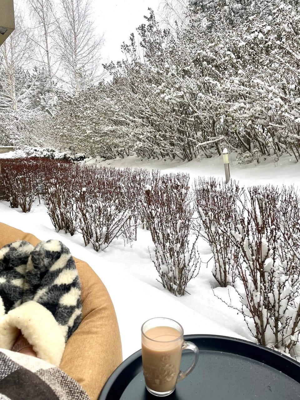 Patio, Winter