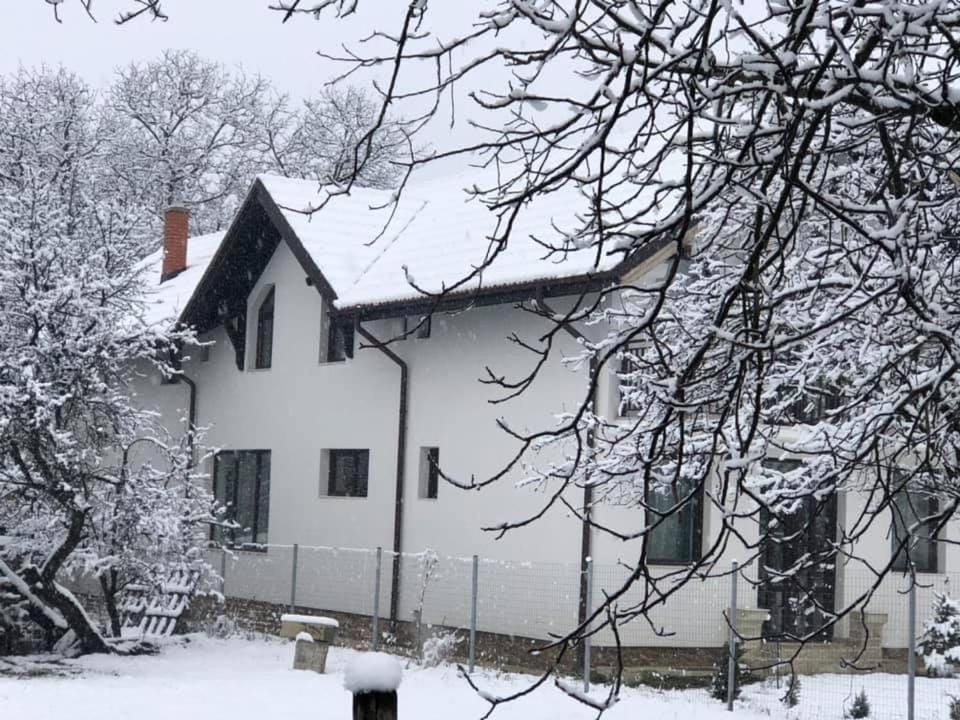 Pensiunea Crețișoara Villa in Romania