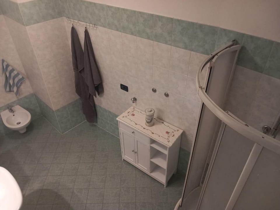 Shower, Toilet, Bathroom, bidet, towels