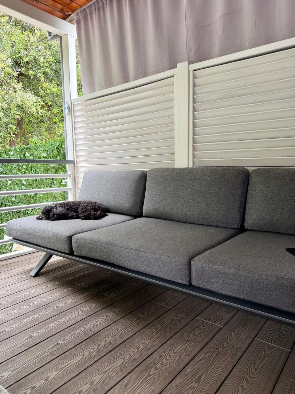 Balcony/Terrace, Living room, Pets