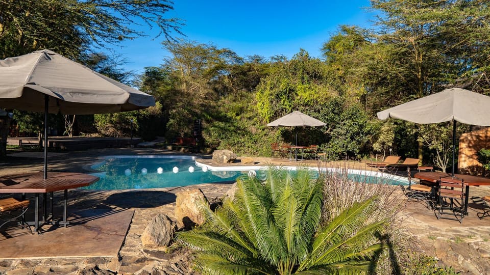 Swimming pool