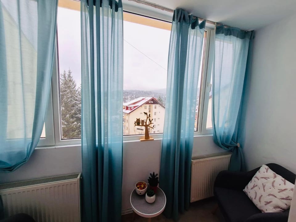 Hellen Studio Predeal Apartment in Prahova, Romania