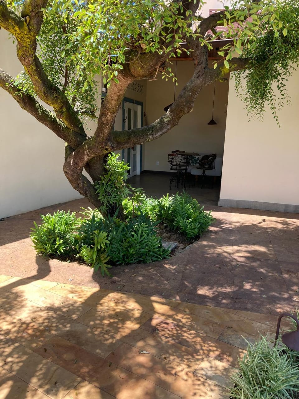 Patio, Day, Garden