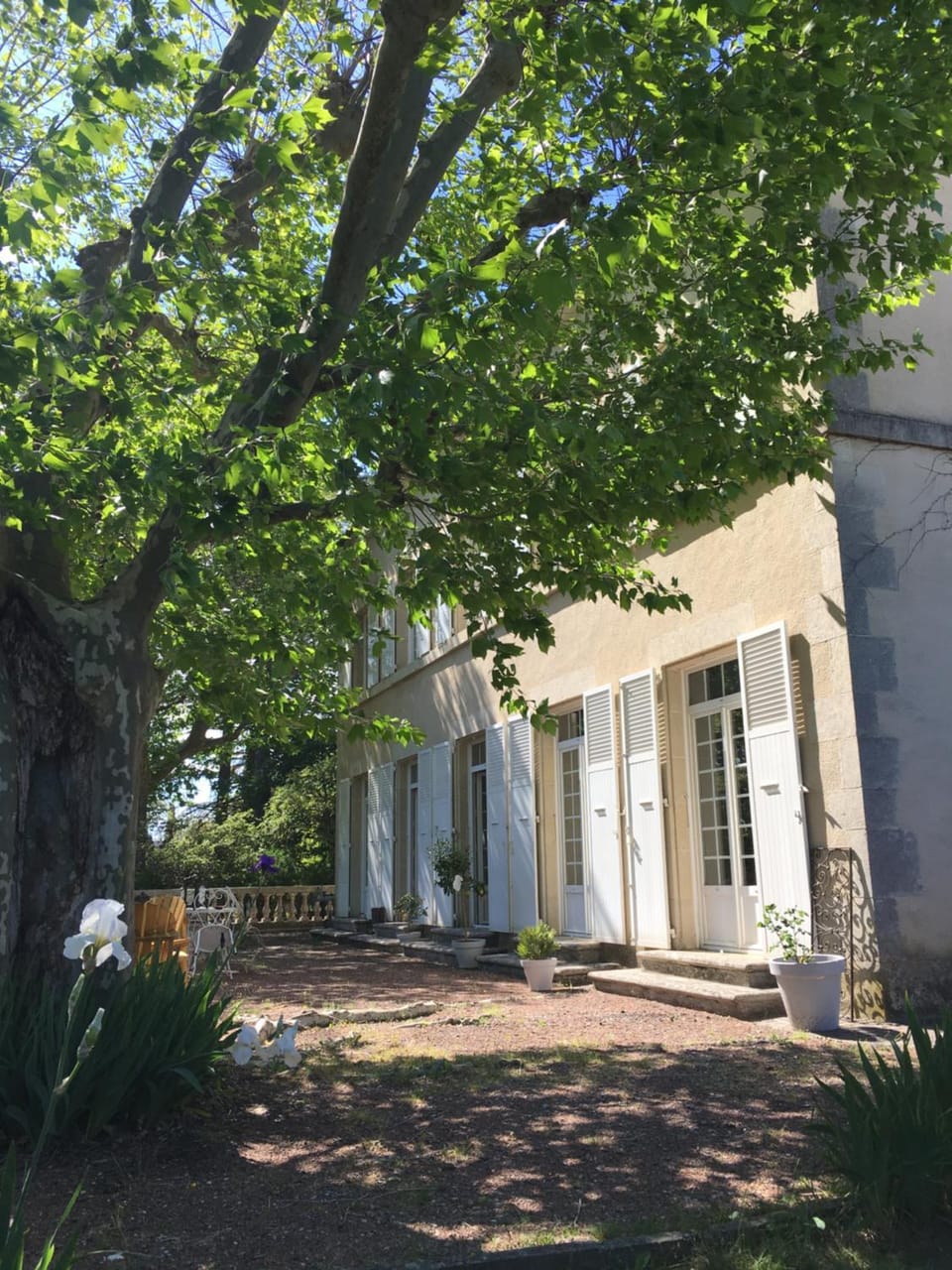 Patio, Garden