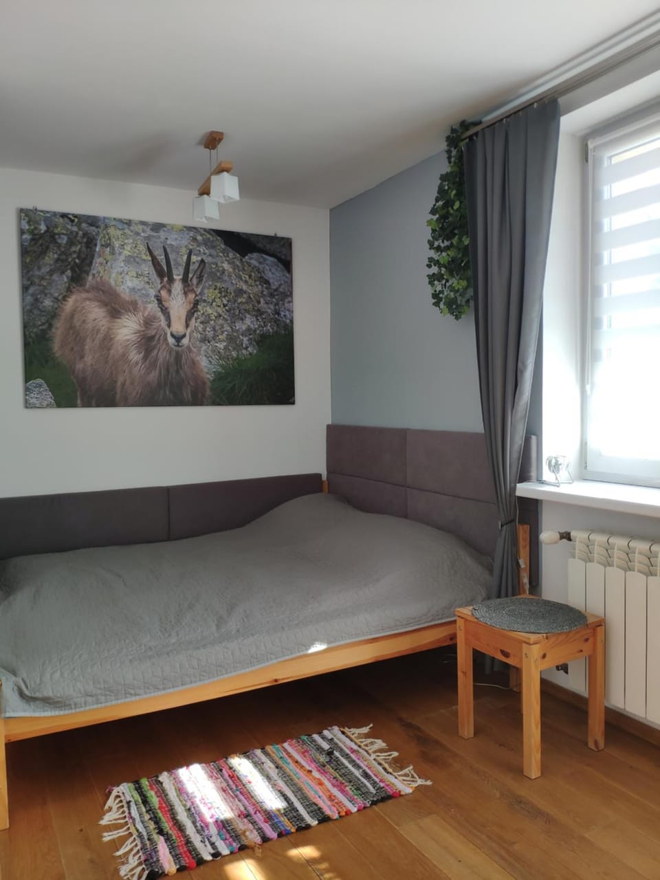 Rupicapra Apartment in Zakopane