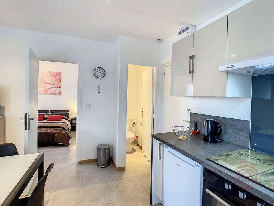 Charmant F2 avec Wifi à 150m des Thermes et centre-ville de Lamalou-les-Bains - FR-1-451-149 Apartment in Occitanie