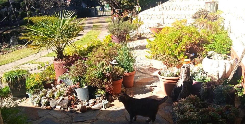 Rheola's Guest Cottage Apartment in KwaZulu-Natal