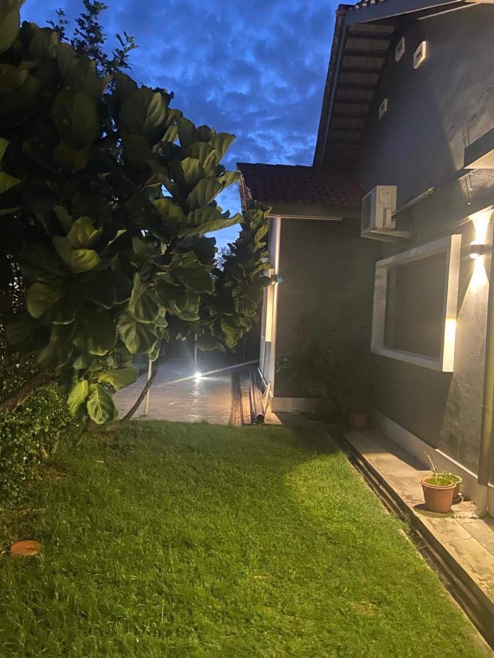 Property building, Night, Garden, Garden view