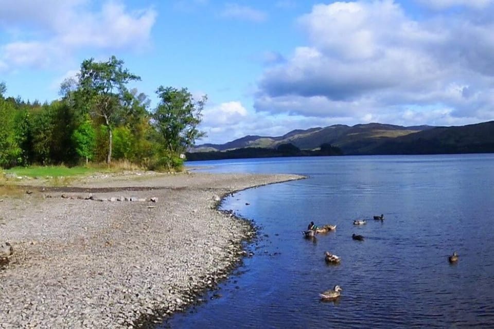 Lochside Lodge Apartment in Scotland