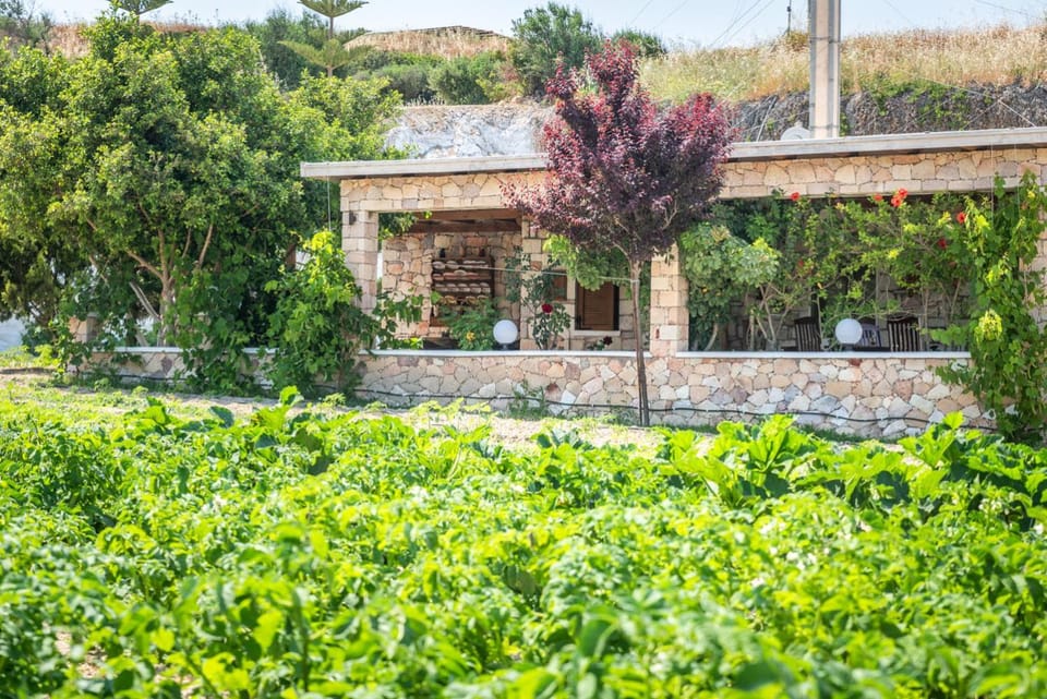 Property building, Facade/entrance, Garden
