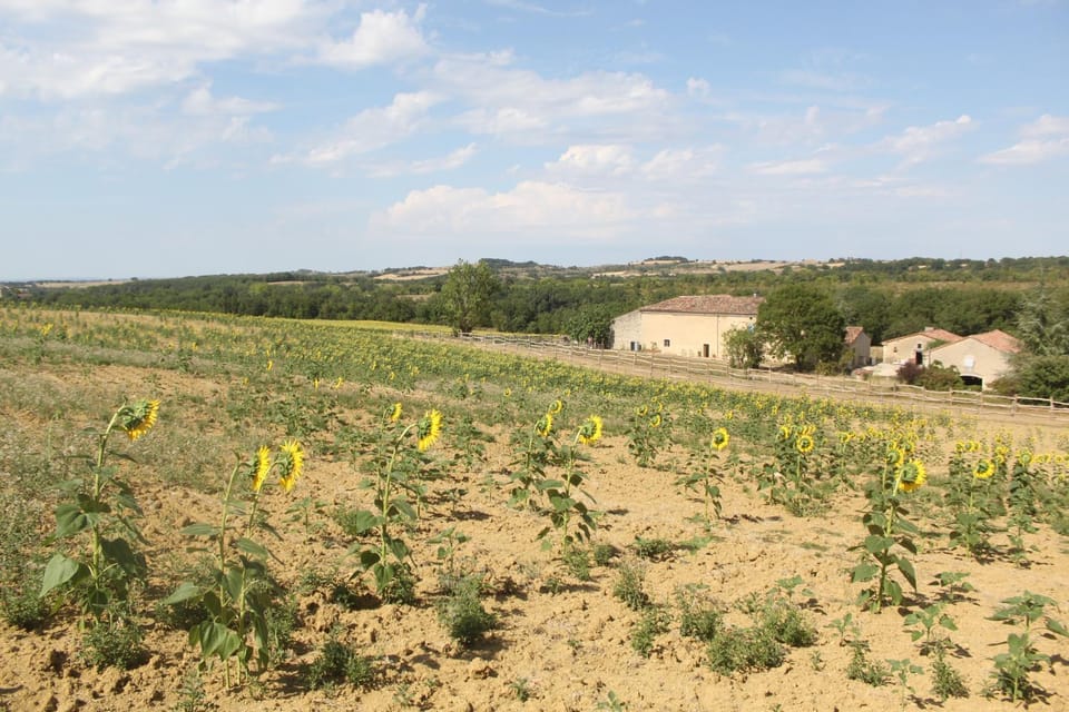 Domaine de la Couderquié Bed and Breakfast in Occitanie