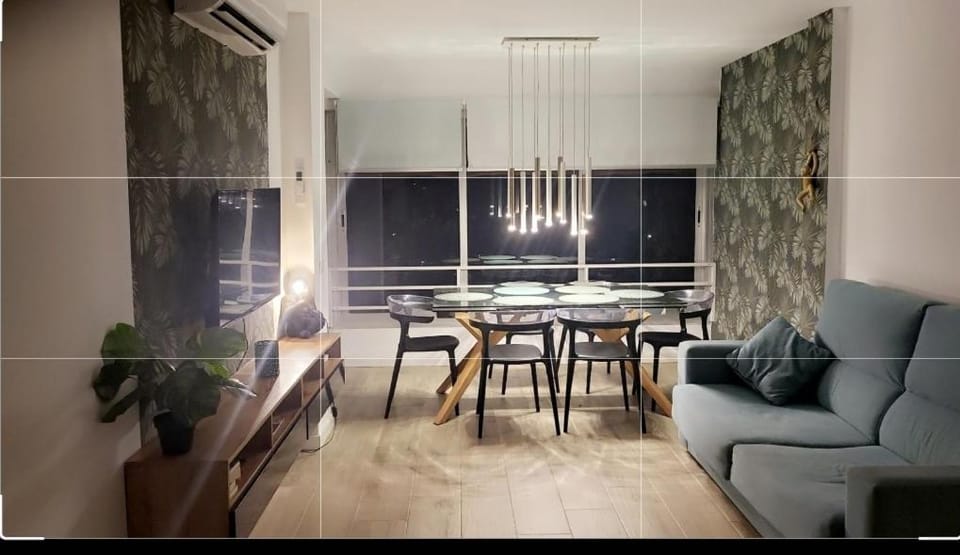 Living room, Dining area, air conditioner