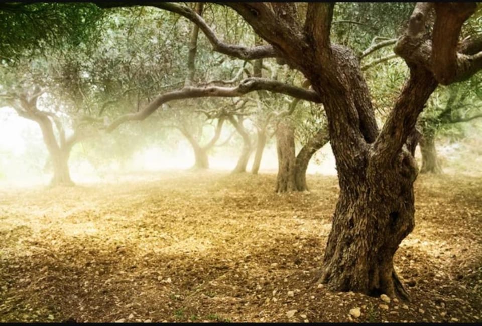 Natural landscape