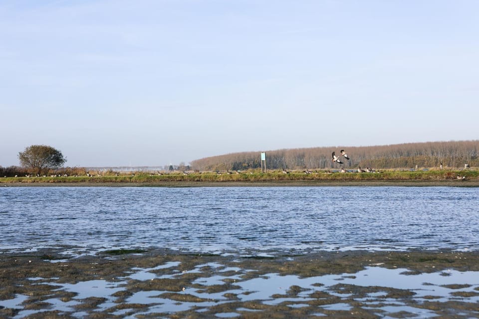 Neighbourhood, Natural landscape