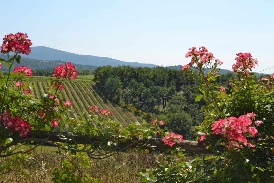 Agriturismo Cignanbianco Farm Stay in Castellina in Chianti