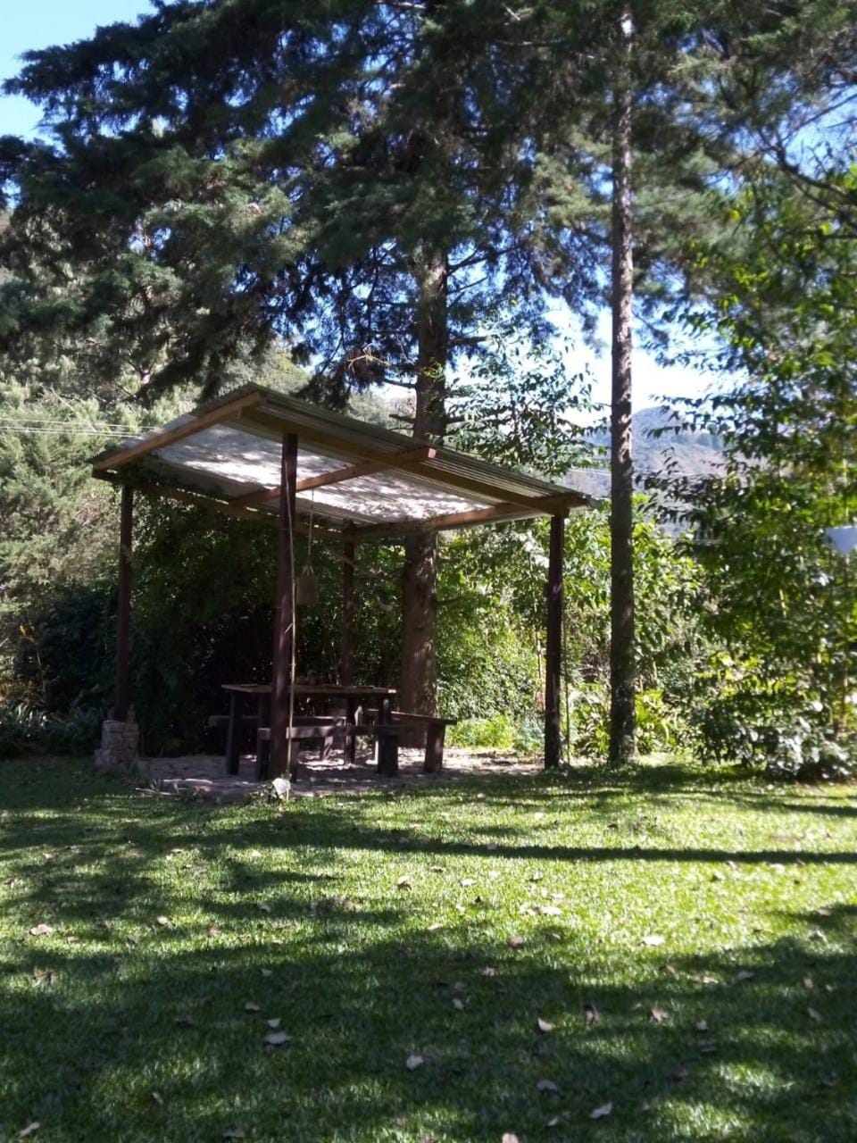 Patio, Garden