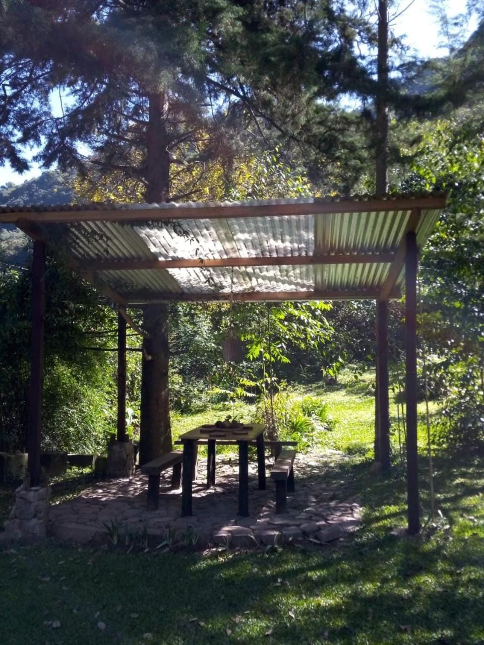 Patio, Garden
