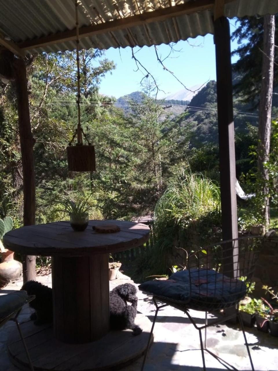 Mountain view