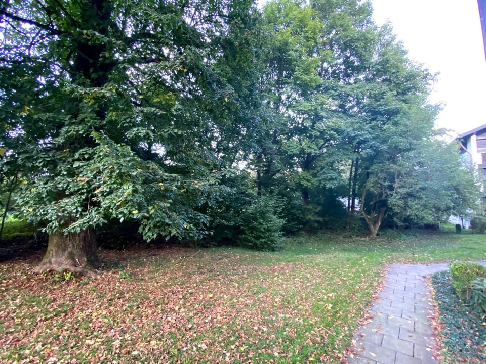 Garden, Garden view