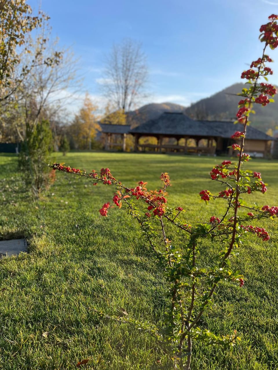 Garden, Garden view, Garden view