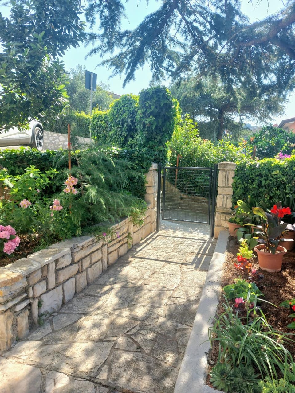 Garden view
