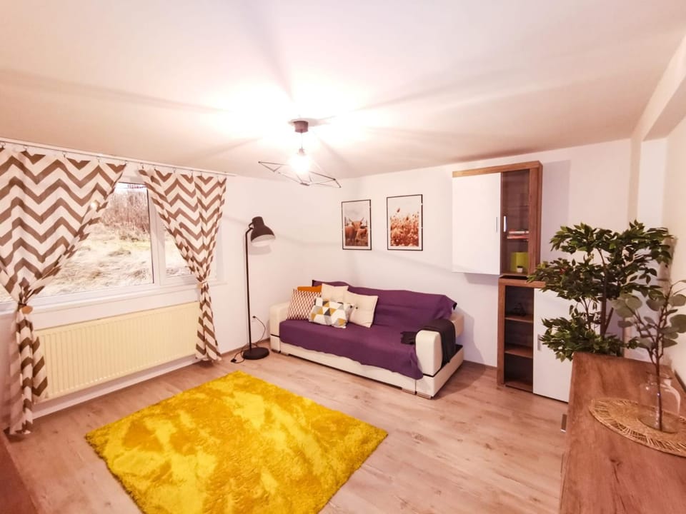Bed, Living room, Photo of the whole room, Seating area