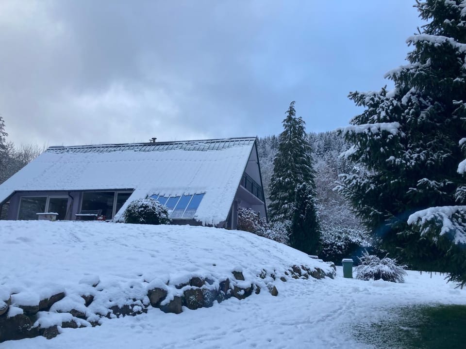 Property building, Winter