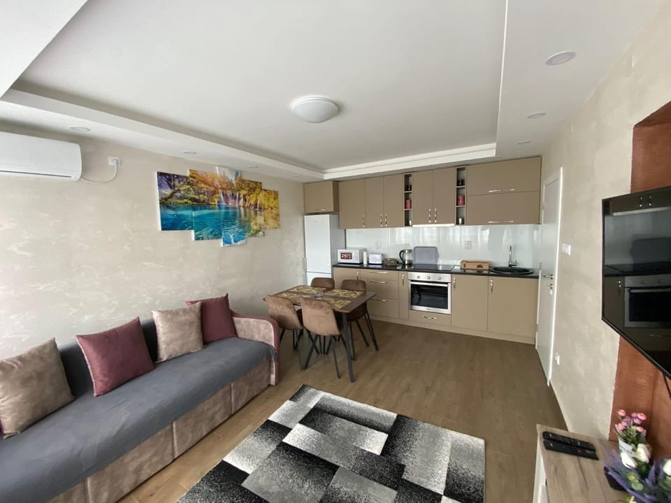 Apartman Daca Apartment in Belgrade