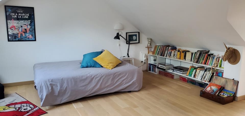 Bed, Library, Photo of the whole room, Bedroom, internet